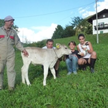 Kalb